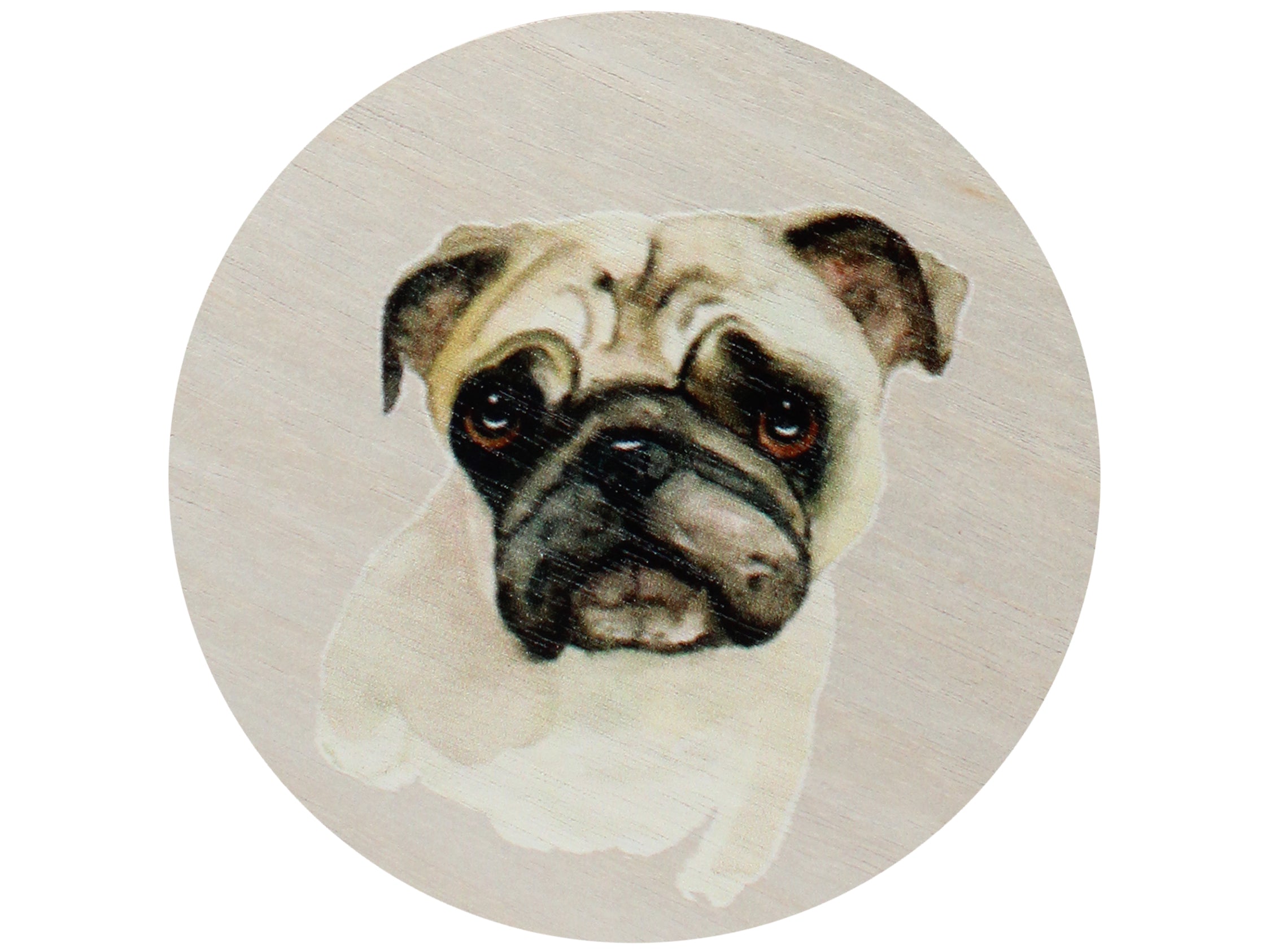 Sand + Paws Vanilla Sandalwood 12 oz scented candle Black vessel with Painted Pug Lid