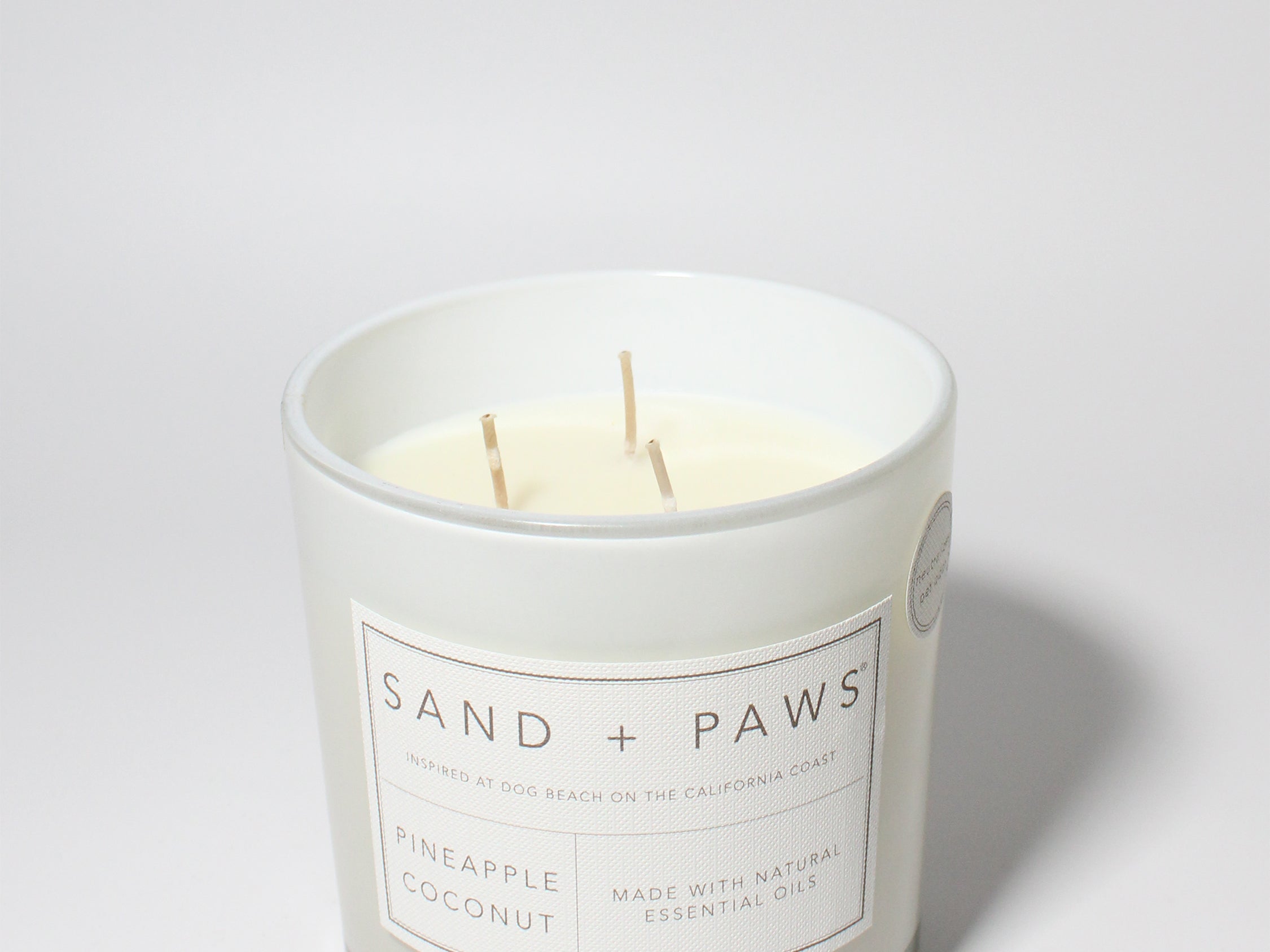 Sand + Paws Pineapple Coconut 21 oz scented candle White vessel with Multi-Breed carved wood lid