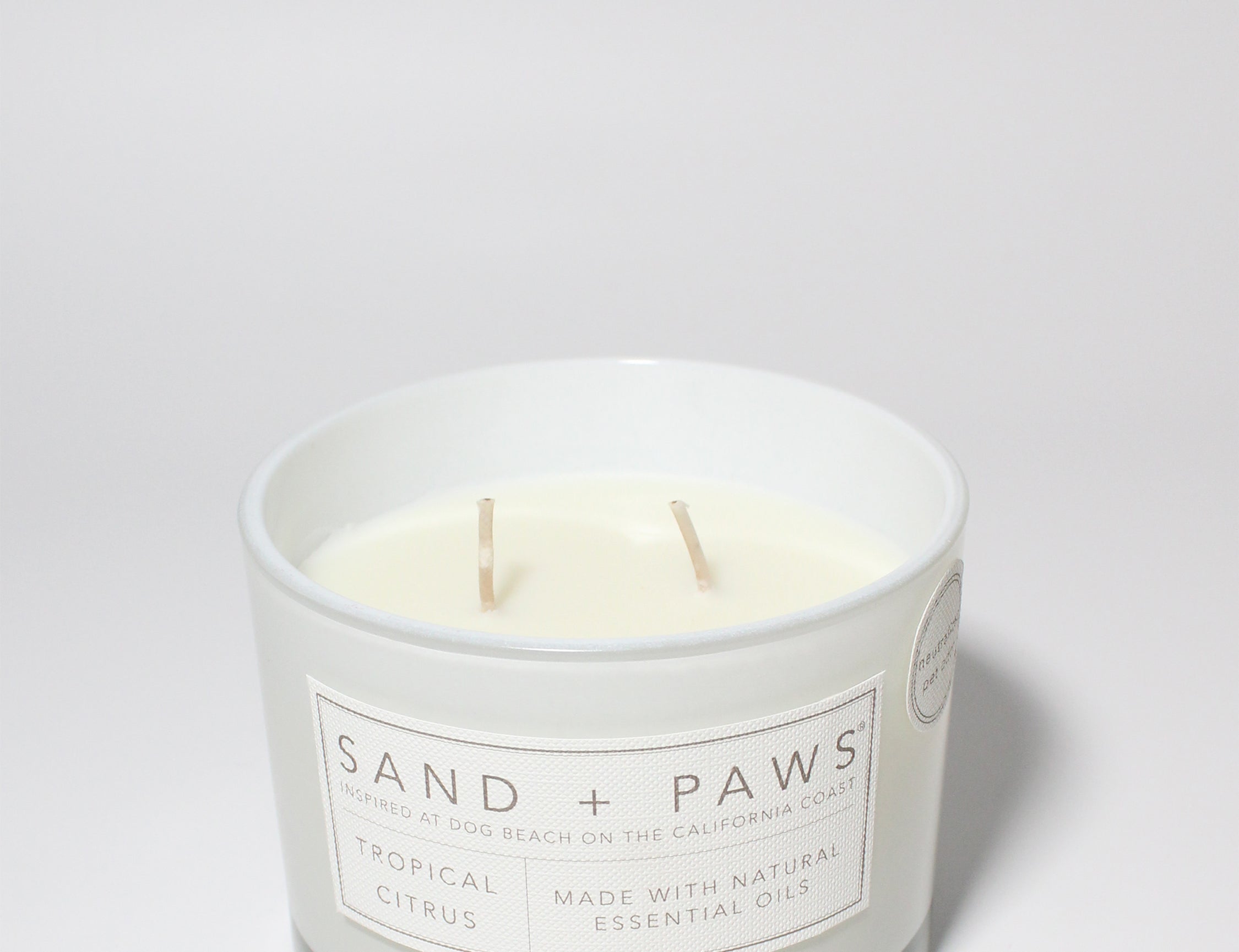 Sand + Paws Tropical Citrus 12 oz scented candle White vessel with Home is Where my Dog is lid