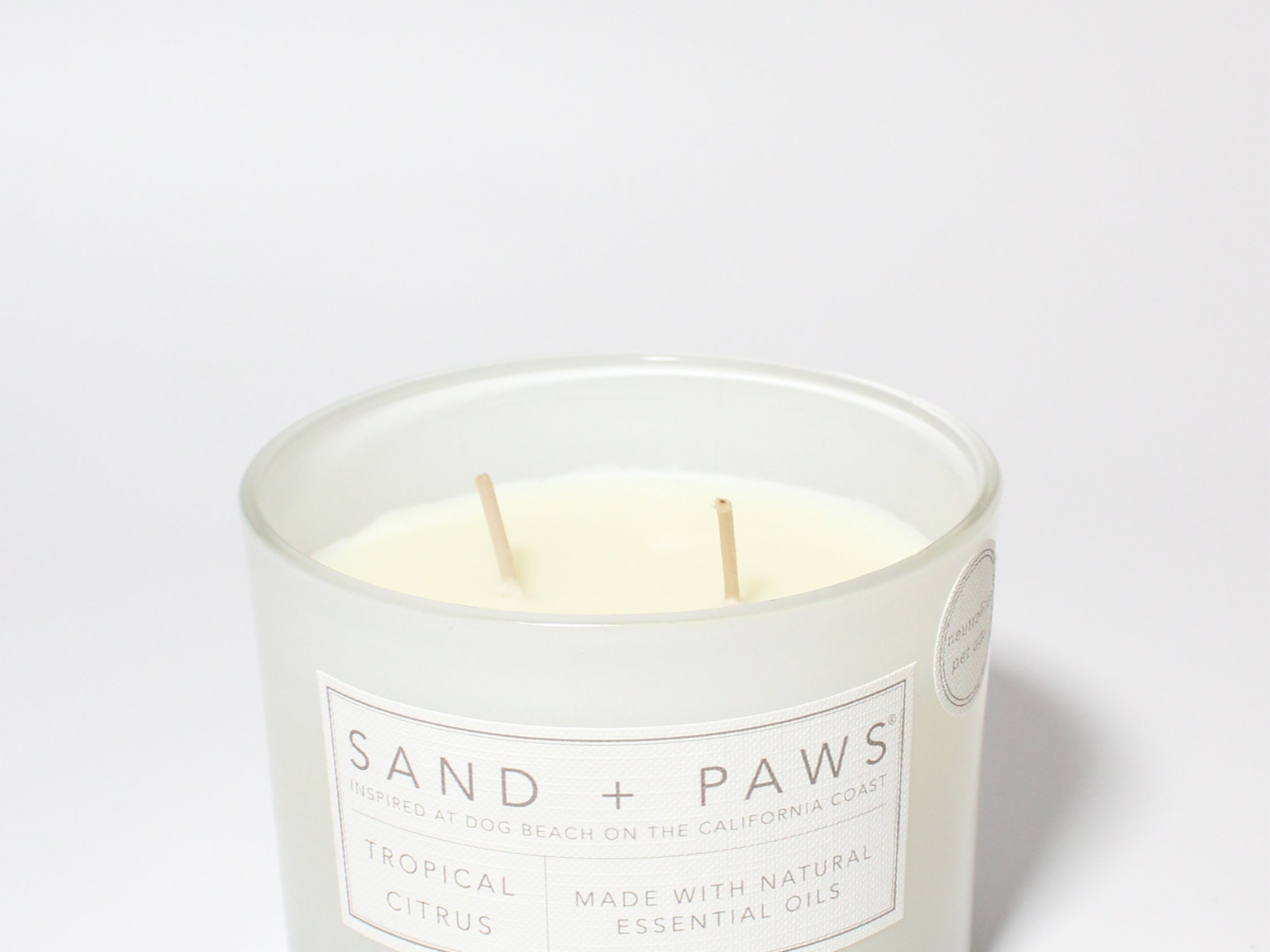 Sand + Paws Tropical Citrus 12 oz scented candle White vessel with Terrier painted lid