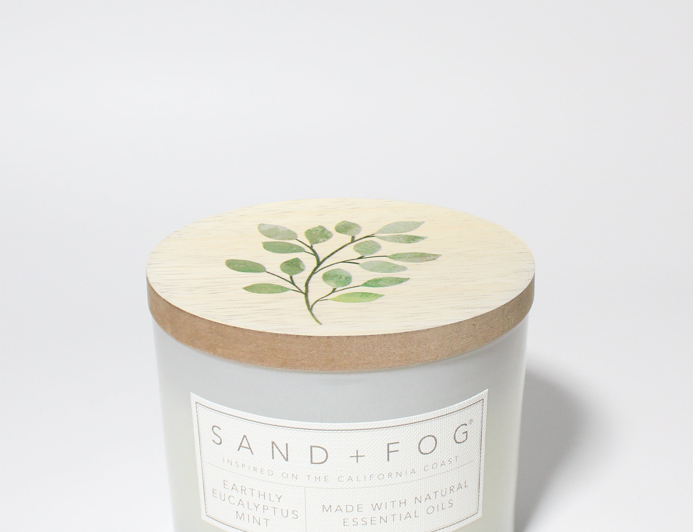 Earthly Eucalyptus Mint 12 oz scented candle White vessel with painted olive branch lid