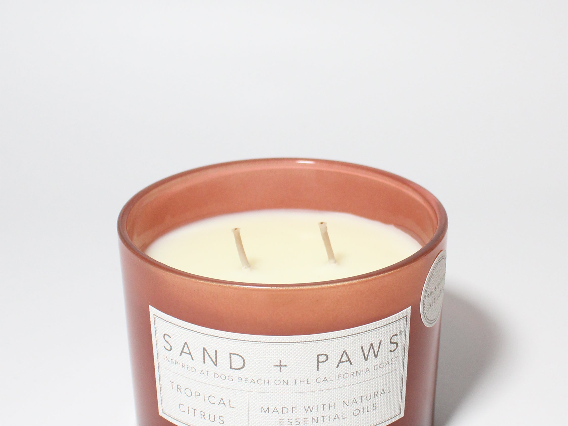 Sand + Paws Tropical Citrus 12 oz scented candle Terra Cotta vessel with I PAW YOU carved lid