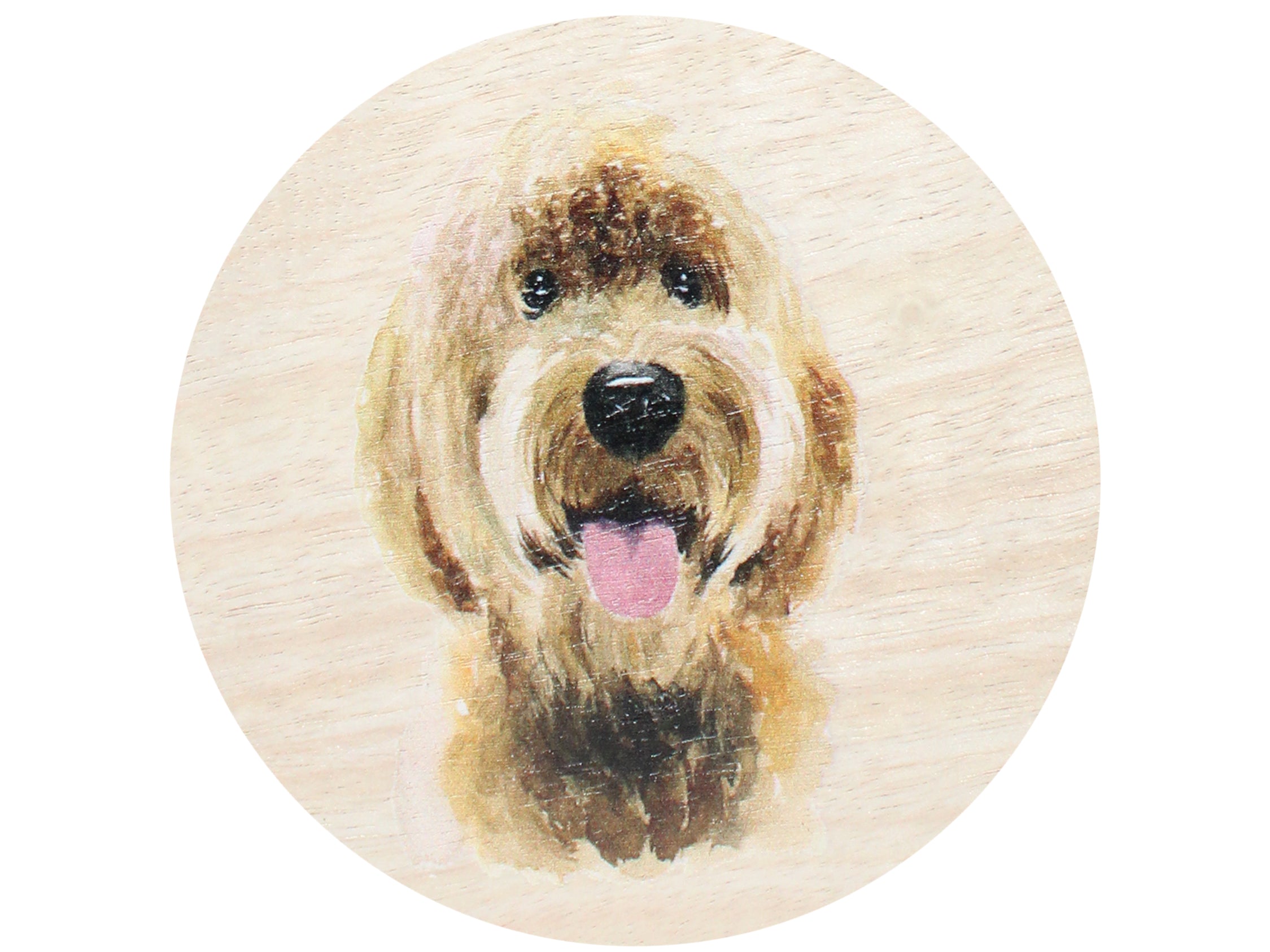 Sand + Paws Teakwood 12 oz scented candle Black vessel with Painted Doodle lid
