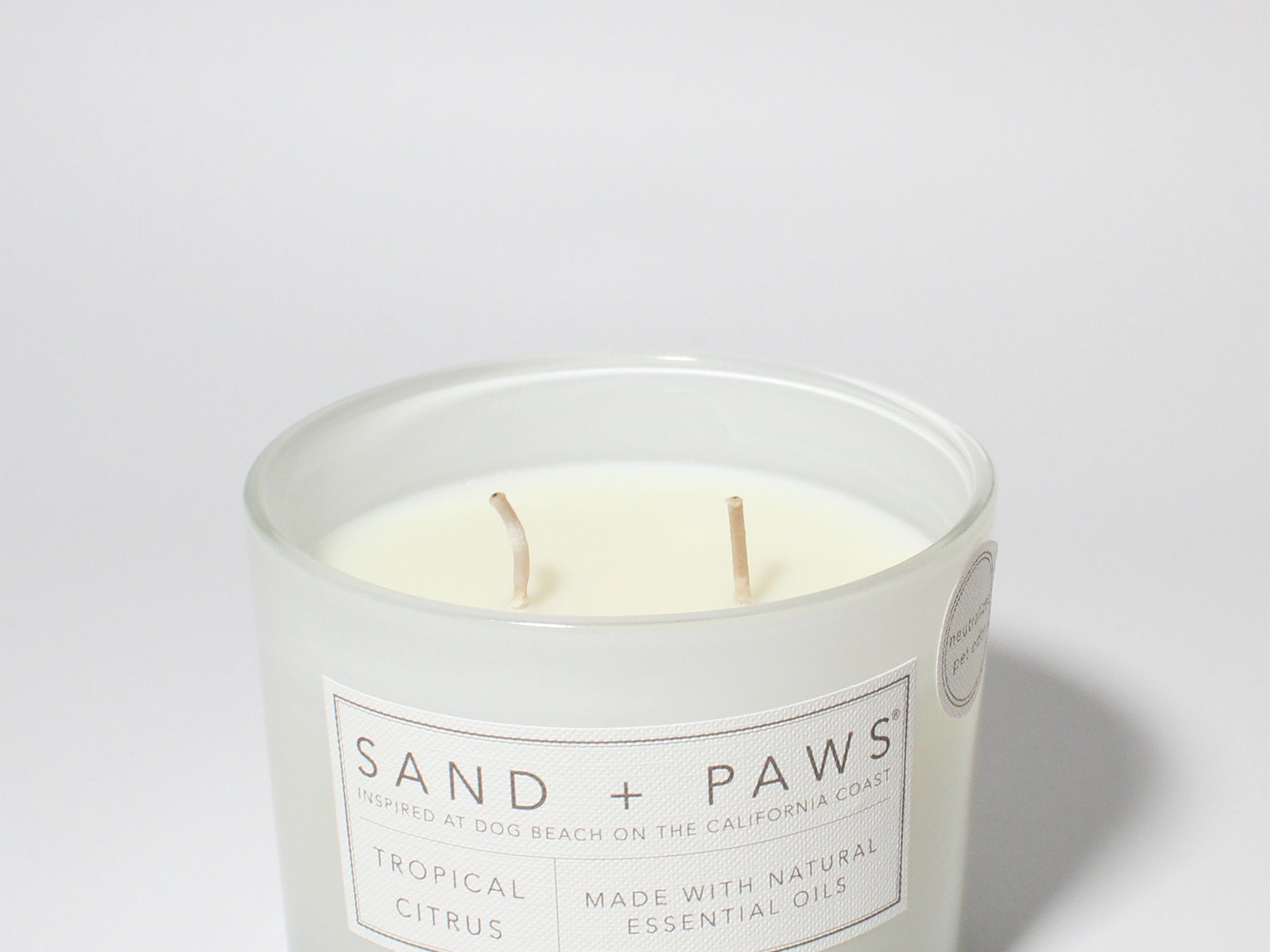 Sand + Paws Tropical Citrus 12 oz scented candle White vessel with I PAW YOU carved lid