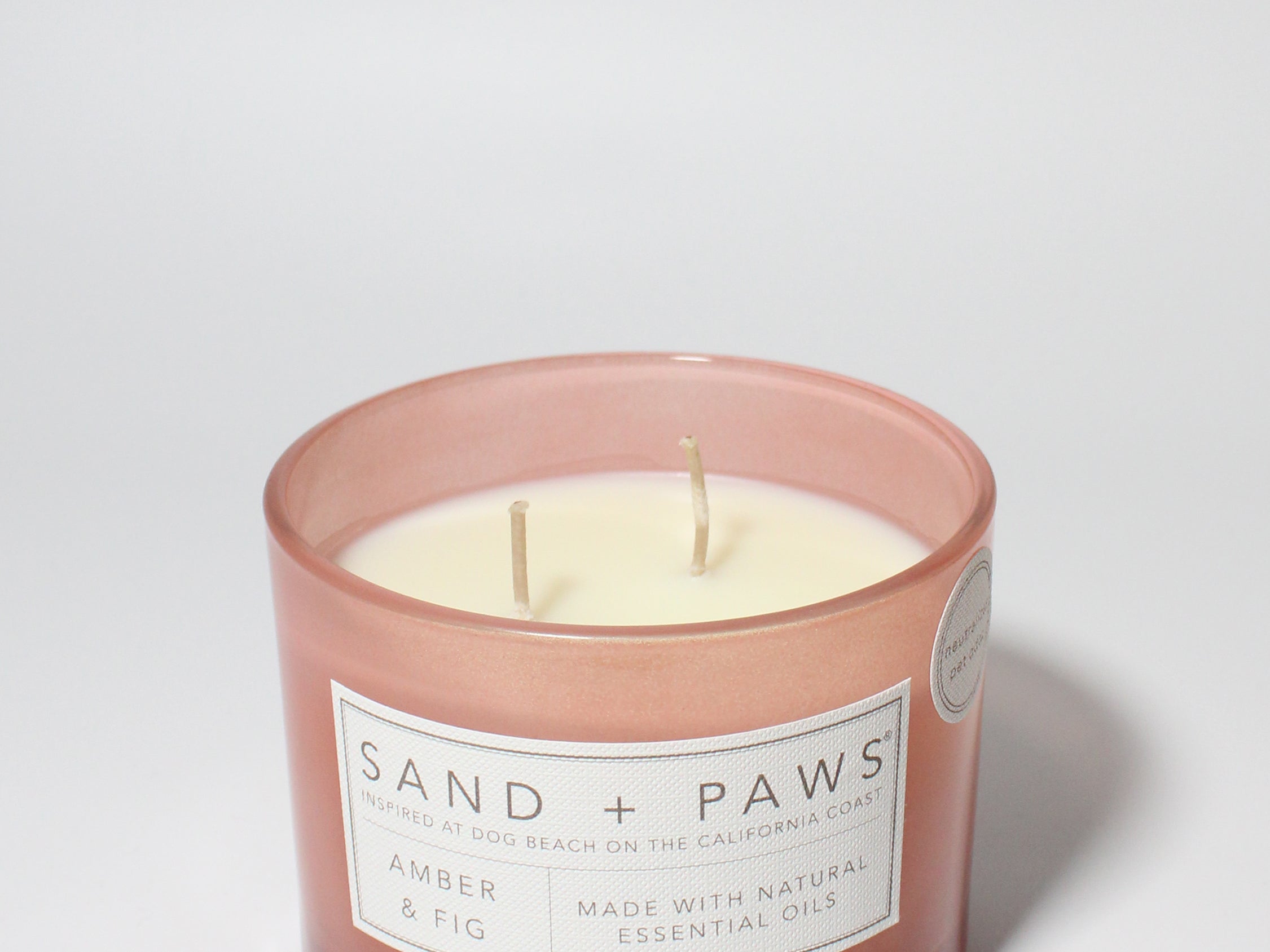 Sand + Paws Amber & Fig 12 oz scented candle Melon vessel with Carved Stay Pawsitive Lid