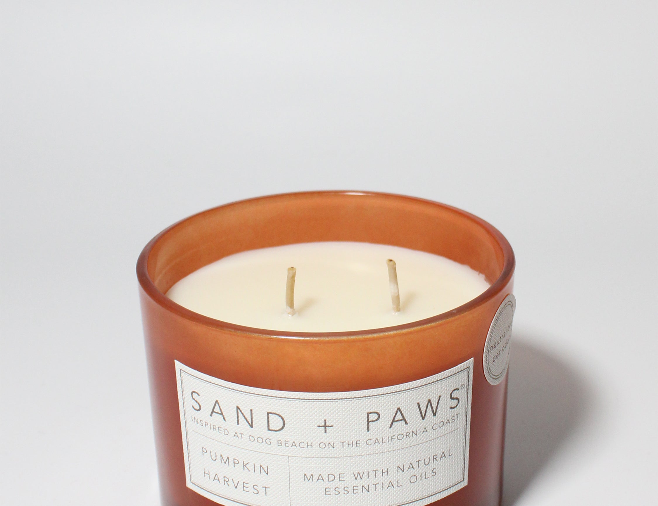 Sand + Paws Pumpkin Harvest 12 oz scented candle Rusty Orange vessel with Painted Dogs wood lid