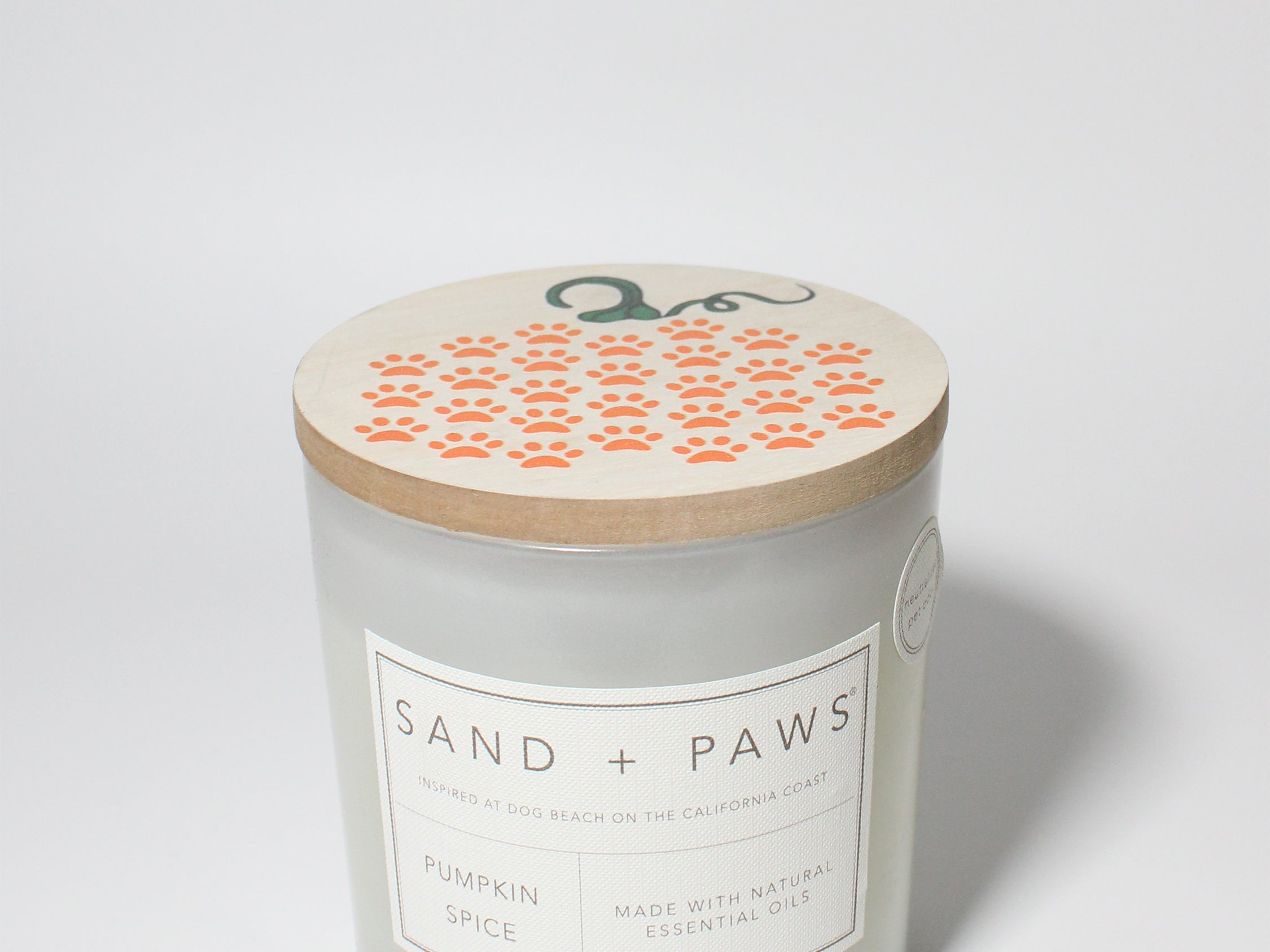 Sand + Paws Pumpkin Spice 21 oz scented candle White vessel with Painted Pumpkin lid