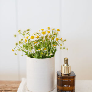 Sand + Fog Amber & Pear Perfume Oil
