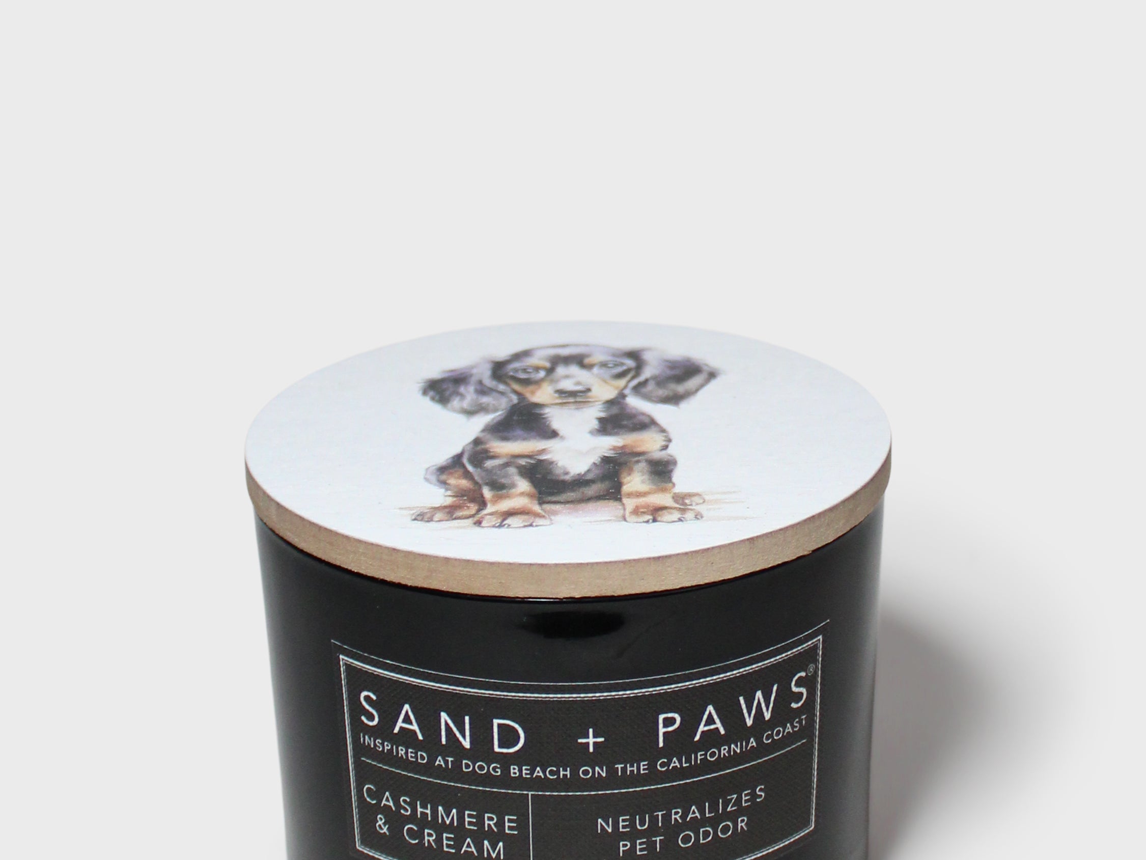 Black jar scented candle with Sand + Paws label; cashmere cream neutralized odor