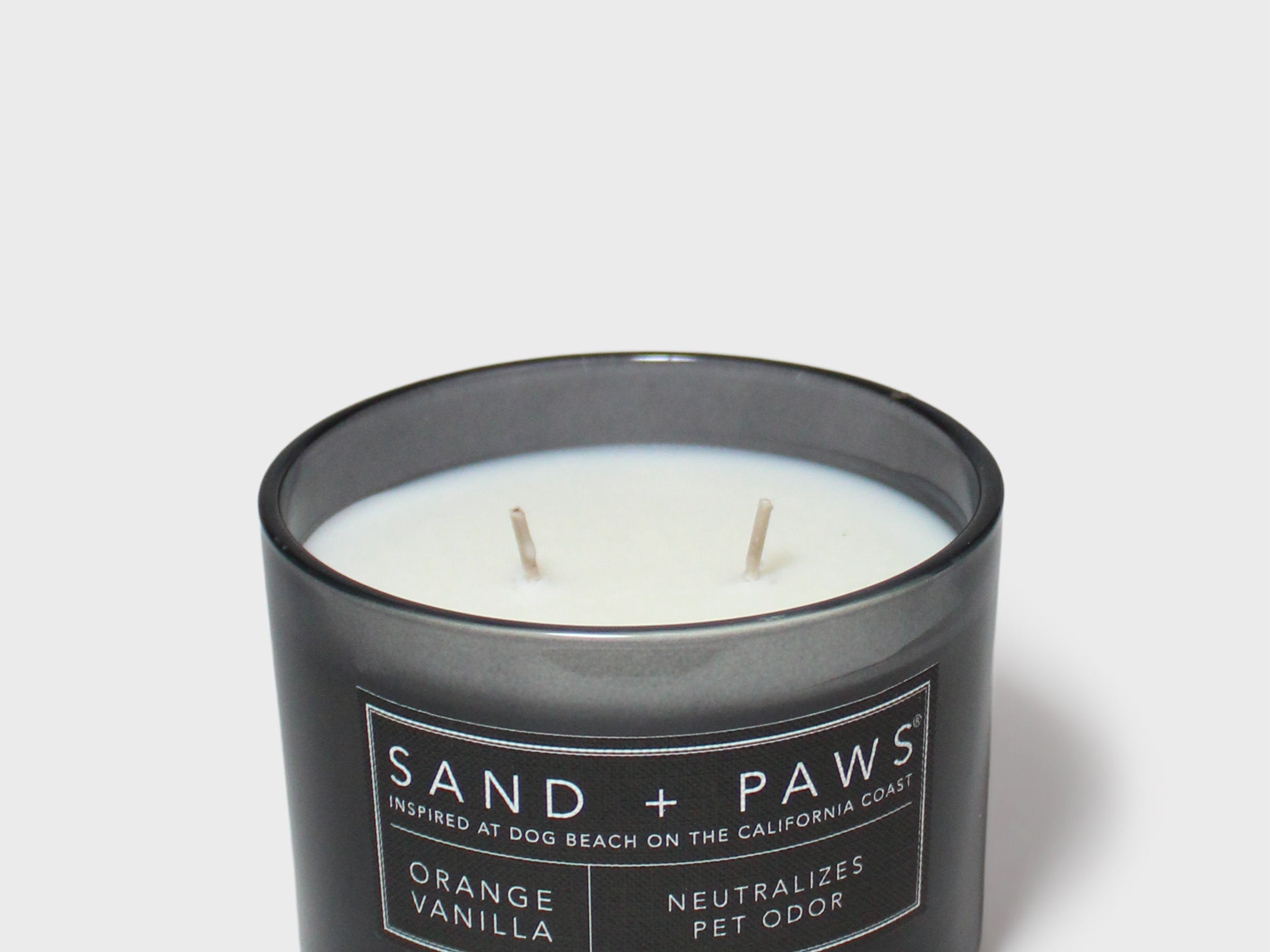 Orange vanilla scented candle with two wicks; dog label on dark jar
