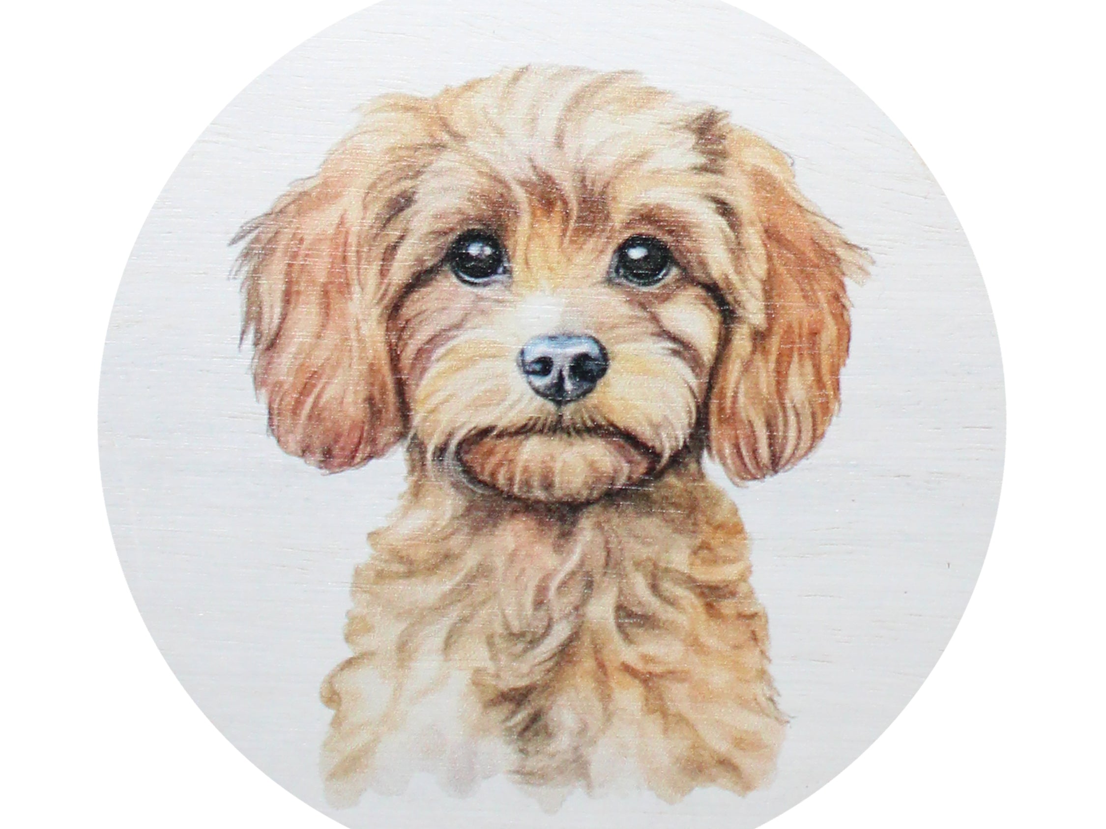 Round candle lid with illustrated dog portrait, Sand + Paws style