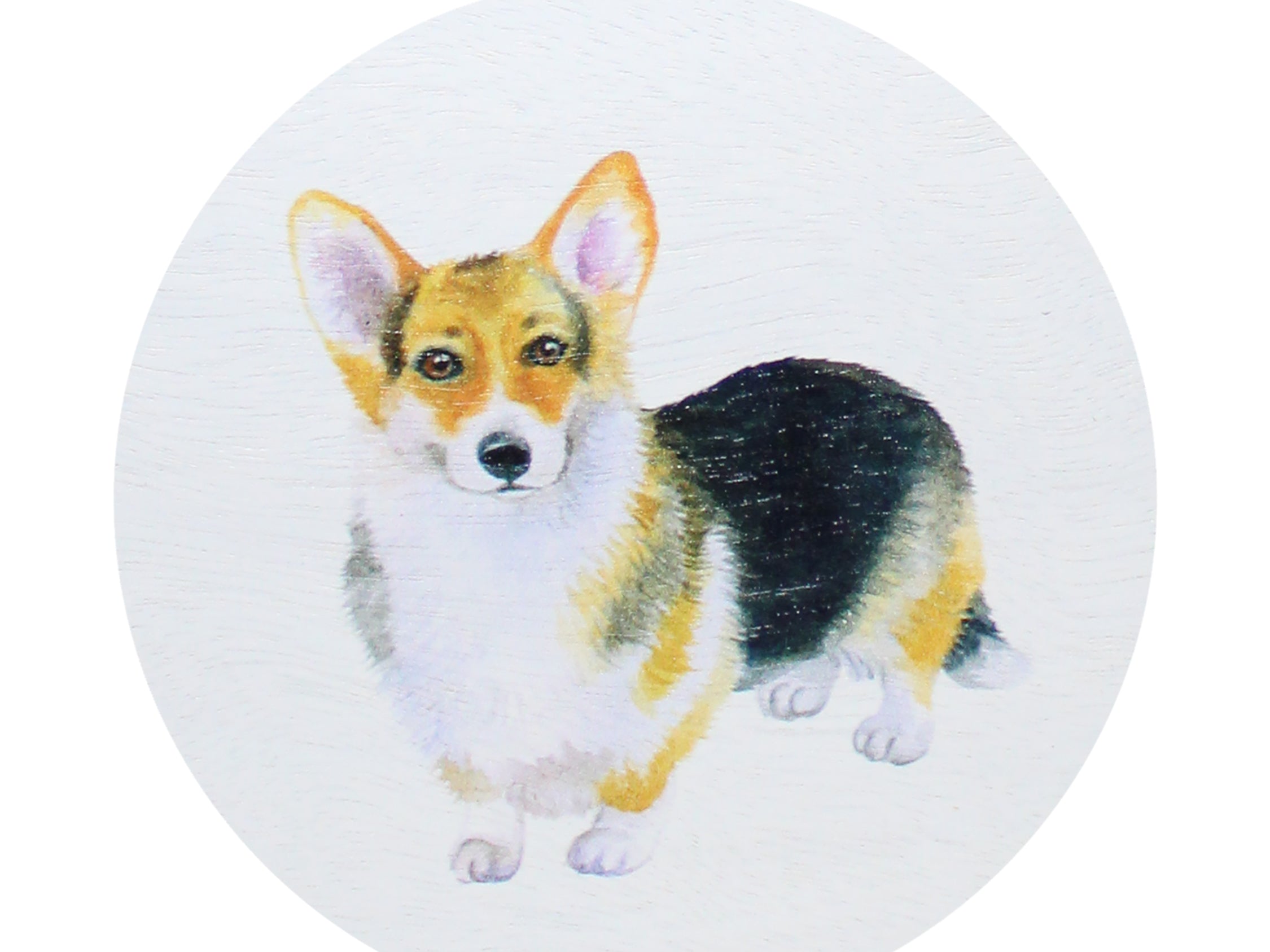 Scented candle with corgi dog graphic lid