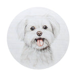 Sand + Paws scented candle lid with white dog face illustration, cream