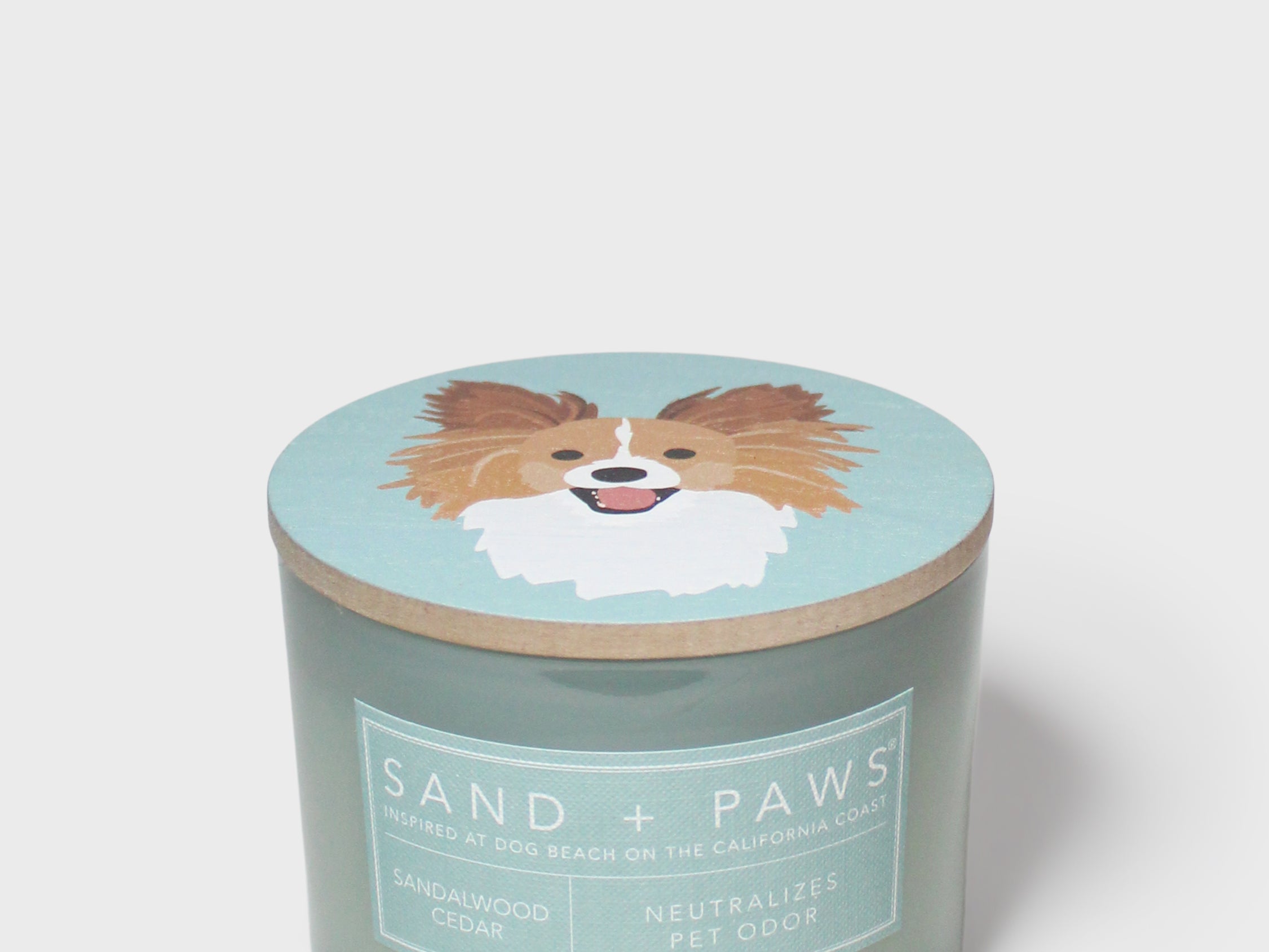 Scented candle with dog graphic lid and 'SAND + PAWS' label on light-blue jar