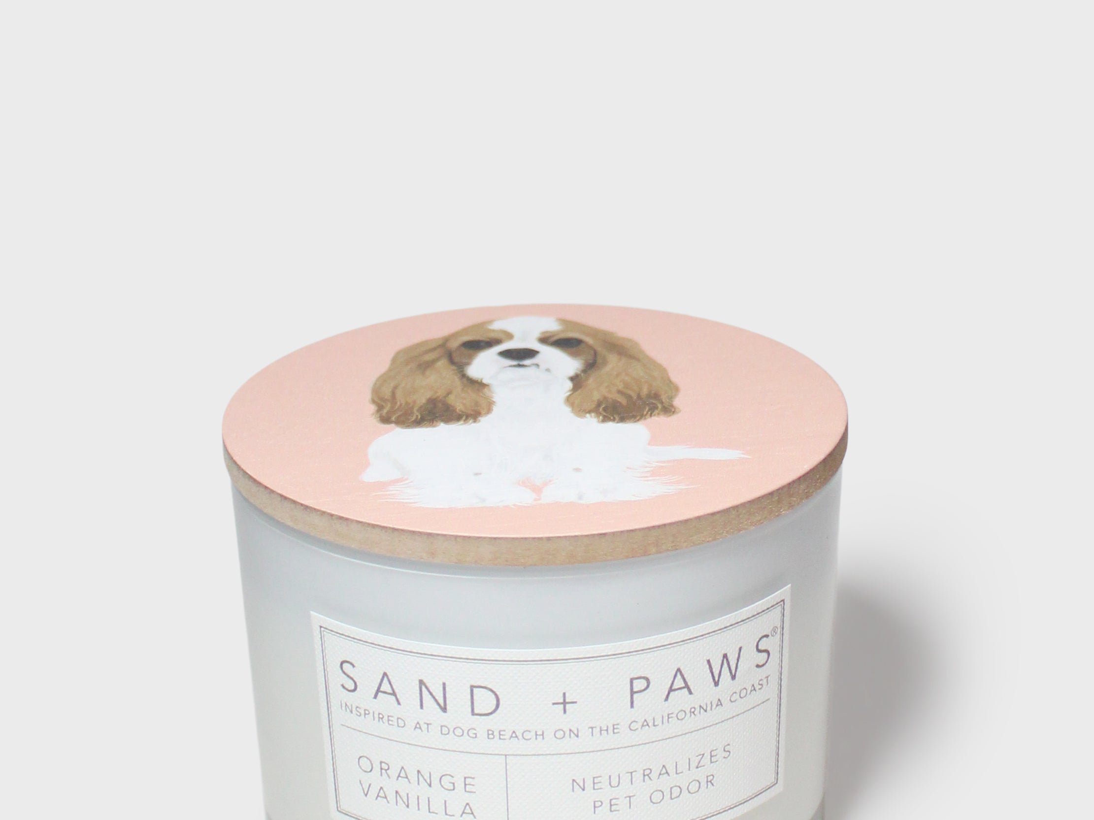 Scented candle jar with dog illustration lid and orange vanilla label