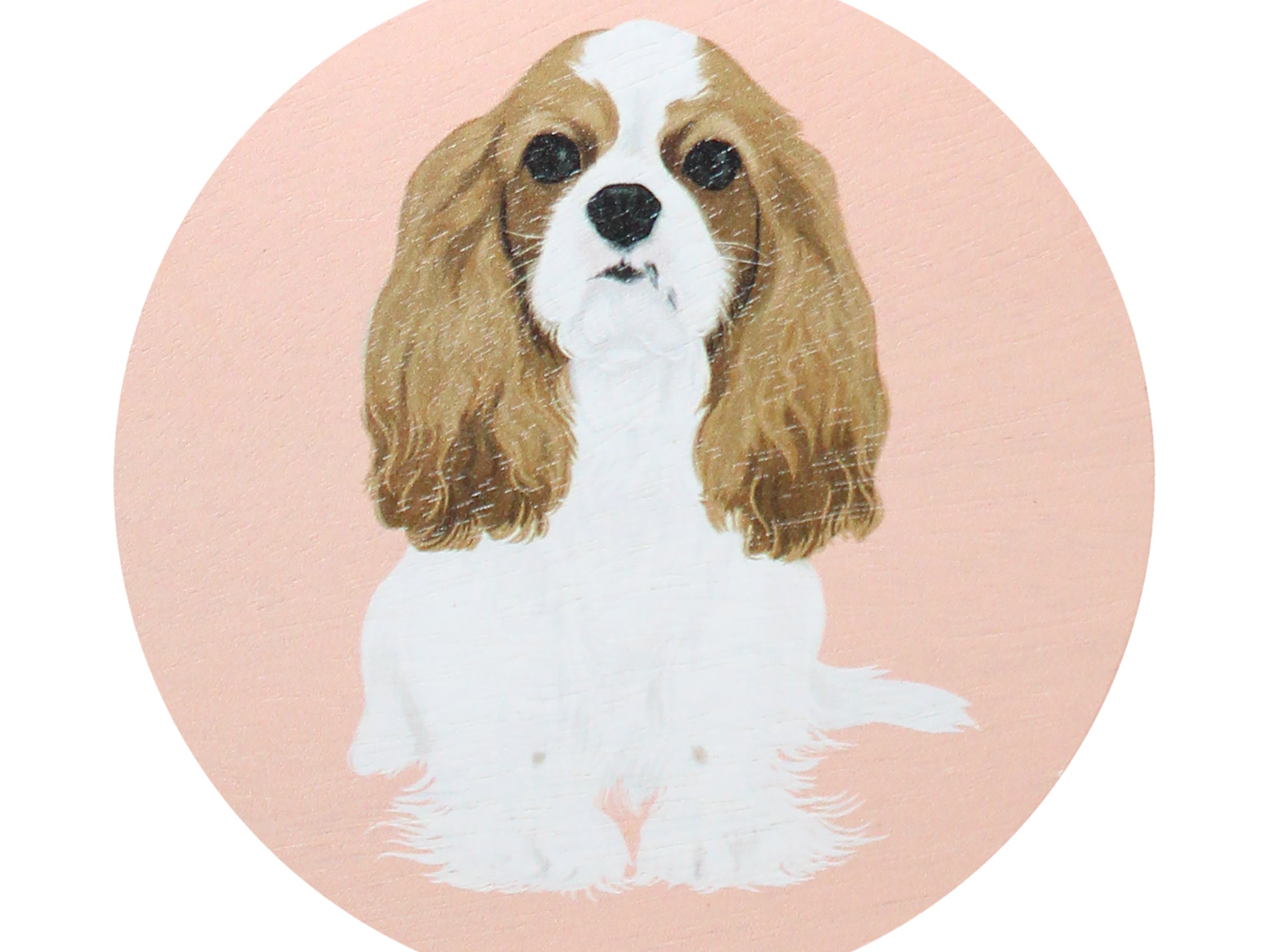 Decorative dog-paw graphic lid for scented candle jar, pink background