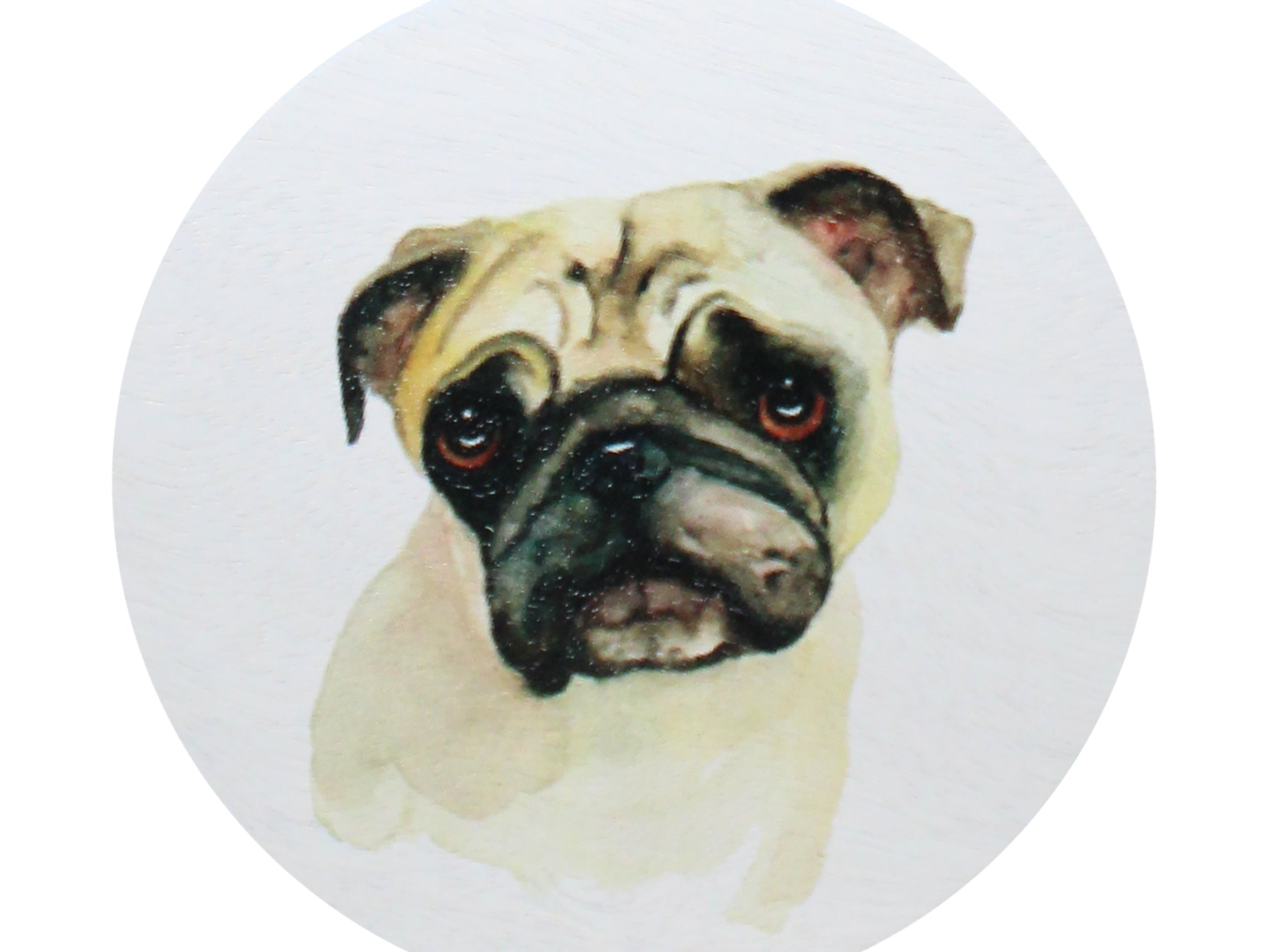 Watercolor pug face sticker for scented candle lid