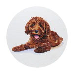 Amber Nights candle dog illustration graphic on top