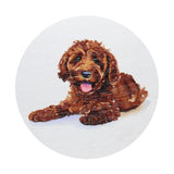 Amber Nights candle dog illustration graphic on top