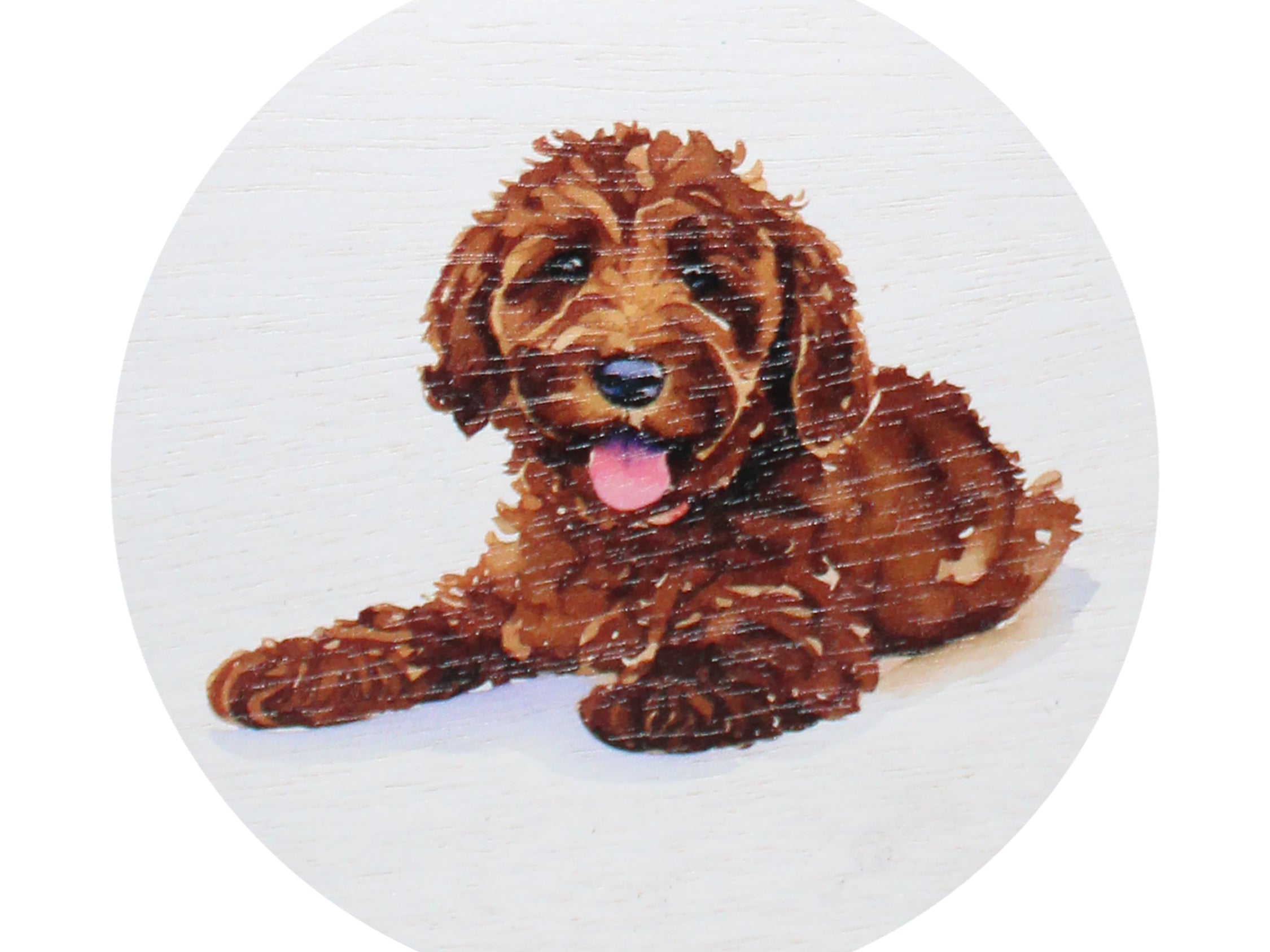 Amber Nights candle dog illustration graphic on top