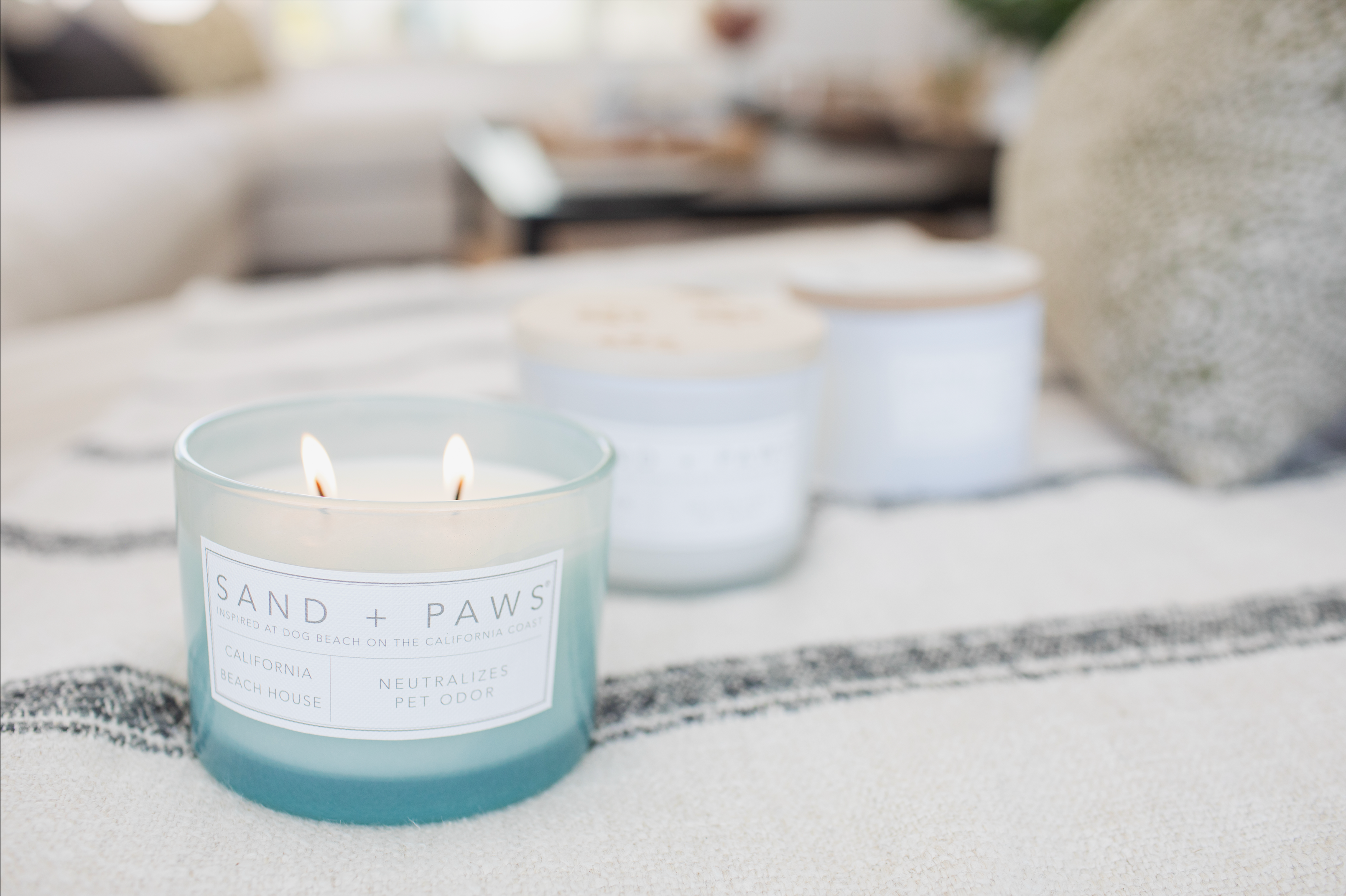 Sand and Paws pet friendly festive candle - Lady & the Scamps