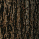 Wood-grain candle label texture in dark brown and tan