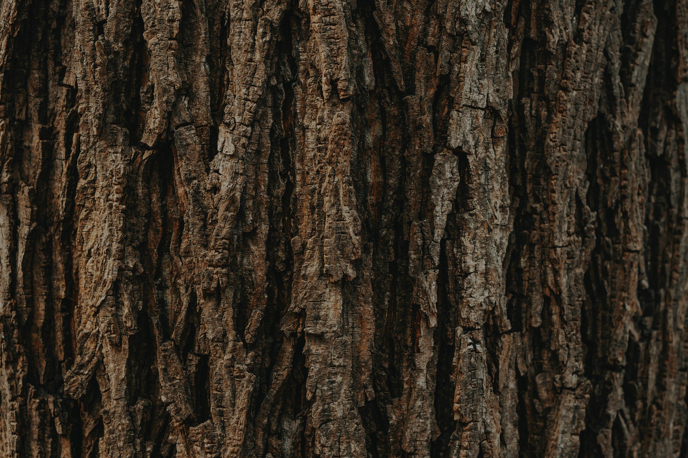 Wood-grain candle label texture in dark brown and tan